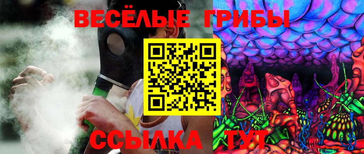 Гагарин  Псилоцибиновые грибы Psilocybe  Галлюциногенные грибы Magic Shrooms  Вход с VPN 