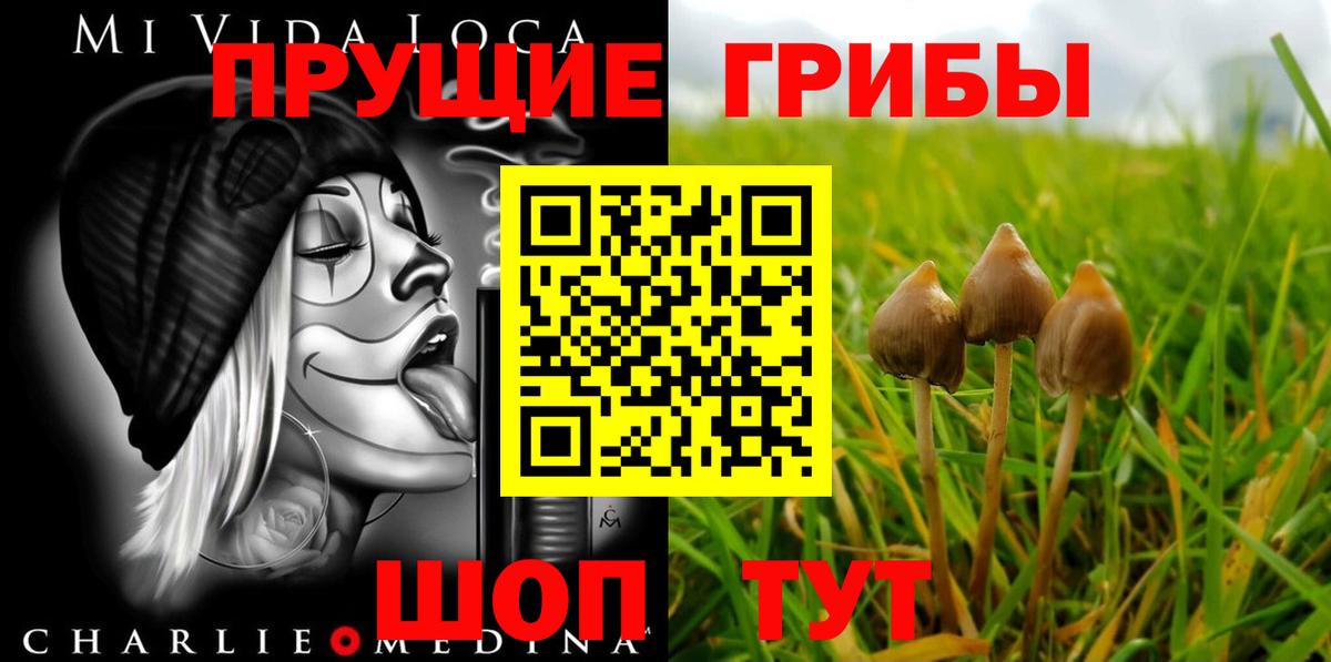 Галлюциногенные грибы мицелий Гагарин